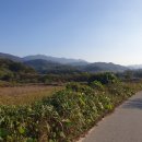 고성리-5 이미지