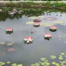 부여테마여행 이미지