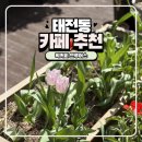 광주-광남-광남-01 | 경기광주 태전동 반려동물 동반 가능한 카 픽커피 브루어스 내돈내산 후기