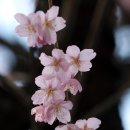 부산배화학교 이미지