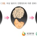 GF정형외과 이미지