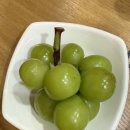 토토김밥 이미지