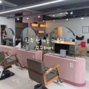 [원주 단계동] 봉화산택지 미용실 추천 아현 부원장님께 두피클리닉 받은 후기 : 수수헤어 SUSU HAIR