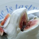 해남농장 이미지