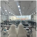 (단기)반려동물미용사(자격증) 이미지