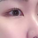 렌즈미 렌즈추천 겨울쿨톤 고윤정 렌즈 판데이아 그레이 베이지 솔직후기