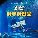 아프리카수산 | 괴산 충북아쿠아리움 후기｜아이와 가볼만한 곳 무료 입장 수중공연까지