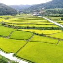 용포마을 이미지