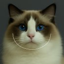 머즐(Muzzle) 이미지