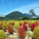 황산공원(황산B) 이미지