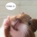 얼레벌레 2024.05