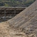 세서 태양광발전소 이미지