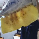 온새미로 아토 이미지