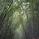 오산10리 이미지