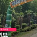 스테이외포 이미지