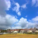 이마트24 평택합정제일점 | 서울 근교 강아지 애견 동반 글램핑 후기 OGUO 용인 기흥 골드펫 리조트