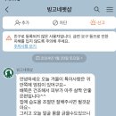 빙고네펫샵 이미지