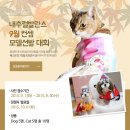 발란스9 이미지