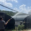 가금농장 이미지