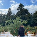 카페힐민박 이미지