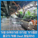 방문사 | 가평 아쿠아 가든 아기와 함께 가기 좋은 물고기 카페 추천 (feat. 평일 저녁)