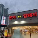 본가로간암퇘지