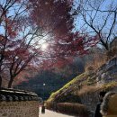 청운문학도서관 | 청운문학도서관 방문 후기