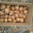 견우농장 이미지