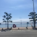 금수상회 | [광안리/맛집] 광안리 민락회센터, 의성상회, 금수복국 내돈내산 후기