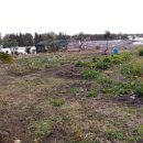 강정동-3 이미지