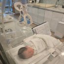 올리비움산후조리원 | 올리비움 산후조리원 후기 (26년 1월)