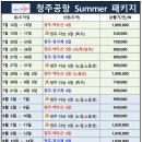 베트남 다낭 특가 5일 (청주공항)7월13~17일 이미지