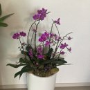 부평김안과의원 이미지