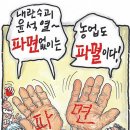 1131 이미지