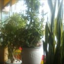 삼성병원 맞은편 이미지