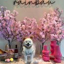 학현4길 이미지