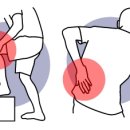 건강트레이너 이미지