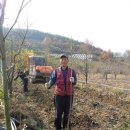 삼삼사 이미지
