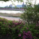 동편제거리 조형물 이미지