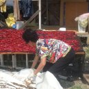 하경농장 이미지