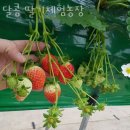 동탄지성로470번길 이미지