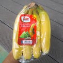 💕로얄대석 자두 🍑황도/대극천/신비 복숭아 🍑하코트살구 🍇꿀벌 델라웨어 포도 🍈하니원메론 🫐 유레카 스위트 블루베리 🍒 생 이미지