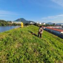 고지소류지 이미지