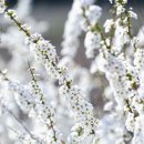 신둔천 예쁜길 이미지