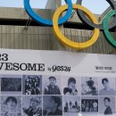 2023 러브썸 페스티벌 세세하고 긴 후기 / 잠실 주경기장 숙소 삼성역 호텔 페이토 삼성 솔직 후기