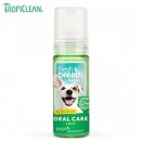 윤지애견 이미지