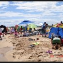 송지호 오토캠핑장 이미지