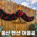 머쉬룸 펜션 네이버블로그