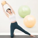 [신규]소도구 필라테스 이미지