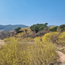 구례의길(남도이순신길) | 광주 근교 1시간 거리 남도 여행 추천 – 구례, 담양, 목포